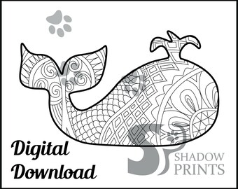 Whale Color Page Etsy