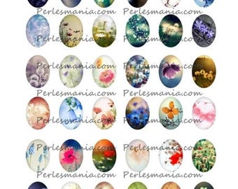 Nature collage is 18 by 13mm ALM