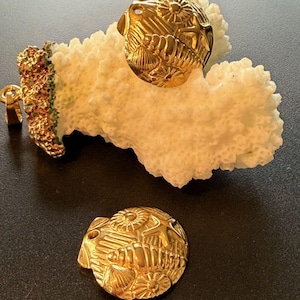 Może przedstawiać: Dwa złote, okrągłe kolczyki ze skomplikowanymi wzorami muszli i kwiatów. Jeden kolczyk jest umieszczony na kawałku białego koralowca, a drugi spoczywa na ciemnej powierzchni. Widoczny jest również złoty wisiorek.