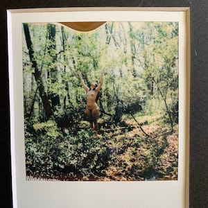Polaroid Spring Rite
