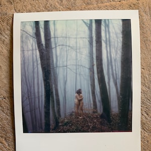 Polaroid Autumn Wood #2