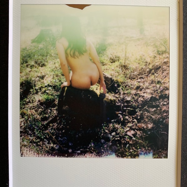 Polaroid Spring