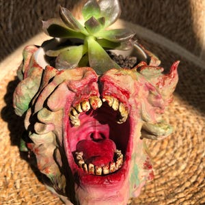 May include: A unique, open-mouthed planter with a grotesque, textured design in shades of red, pink, and green. The planter holds a succulent plant with green and purple leaves. The planter's interior is white.