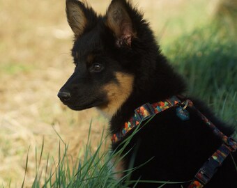 Adjustable dog harness - Autumn forest