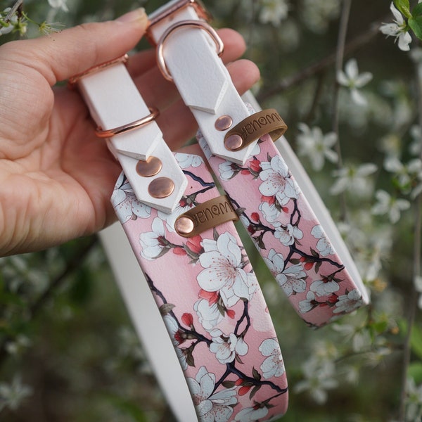 Collier pour chien en Biothane imprimé - Motifs Fleurs de cerisier - Sakura - Printemps