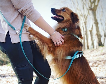 Hands free leash - Multipositions - TPU webbing - Water proof - Biothane - Customizable - Vegan