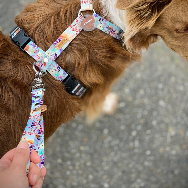 Poignée  pour chien en sangle imprimée