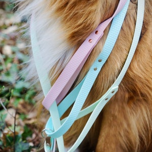 Dog leash HEXA webbing - Water proof - Biothane - Customizable - Vegan