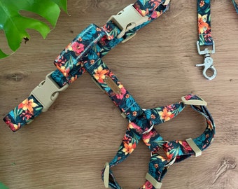 Adjustable dog harness - Exotic vegetation - Tropical flowers