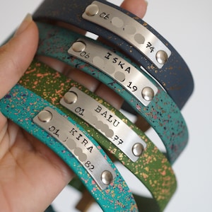 ADD-ON identification OPTION for dog collar