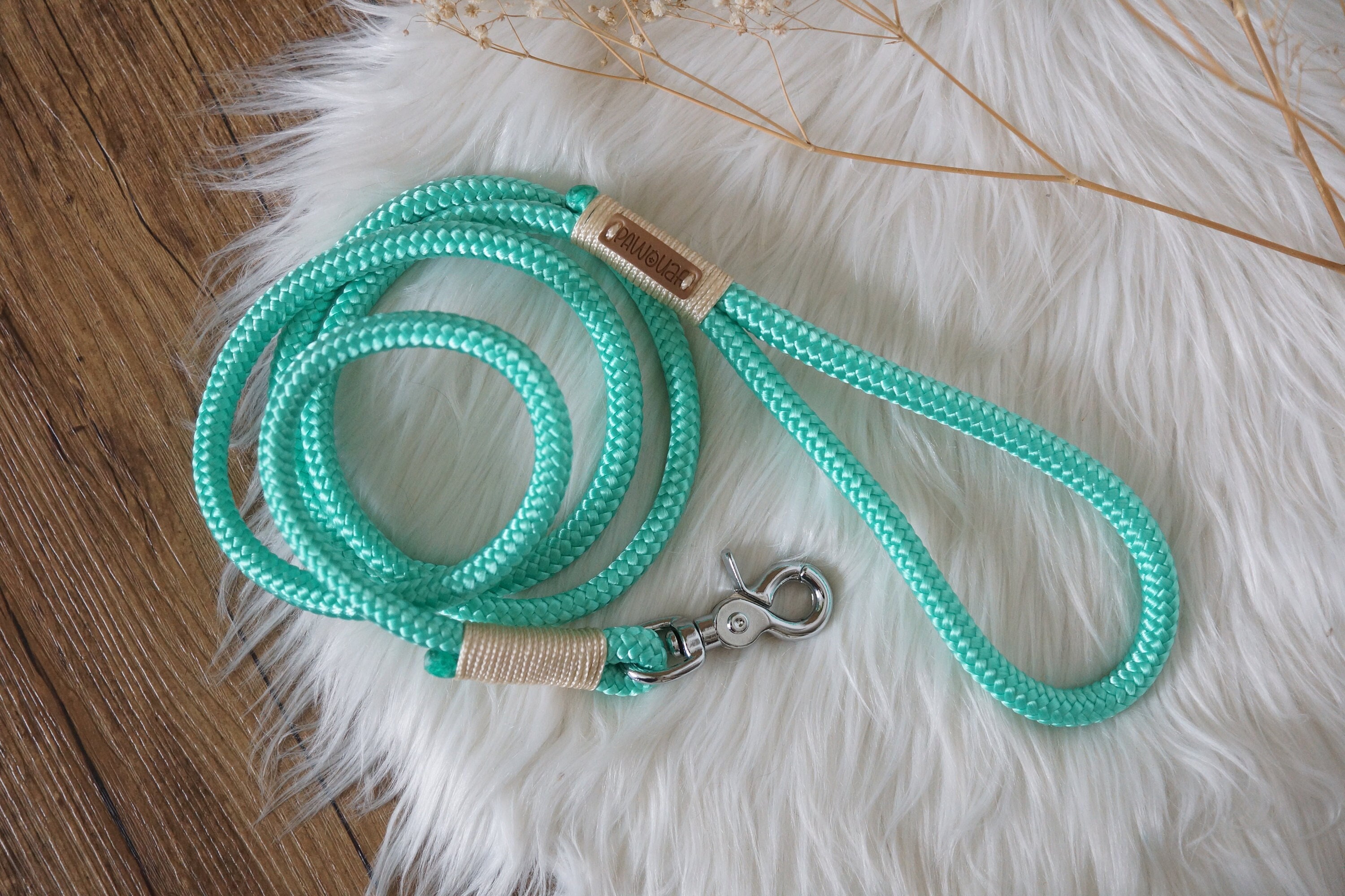 Laisse Chien - Vert Menthe/Laisse en Corde Paracorde Dog Leash Accessoires Fournitures Chien