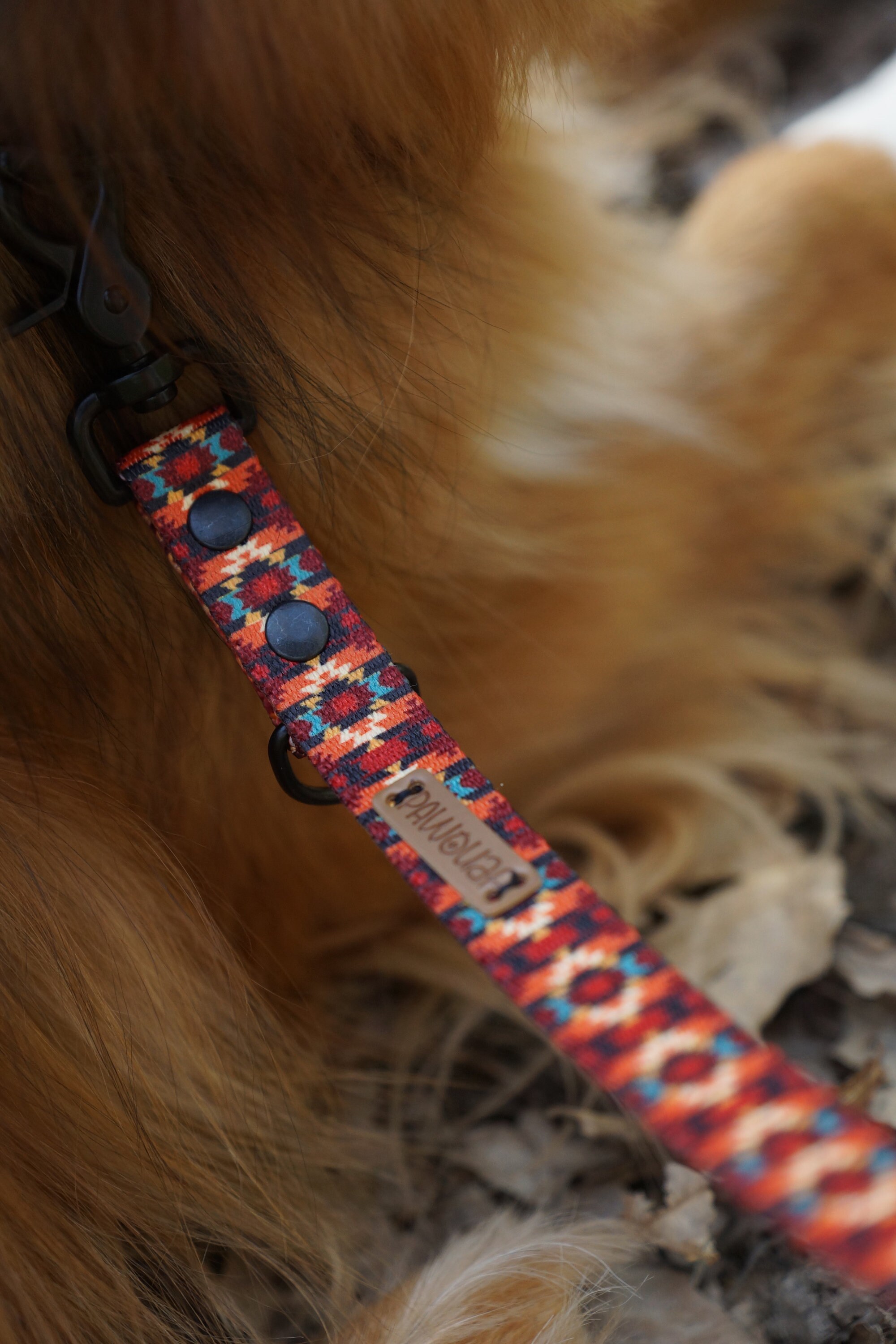 aztec dog leash