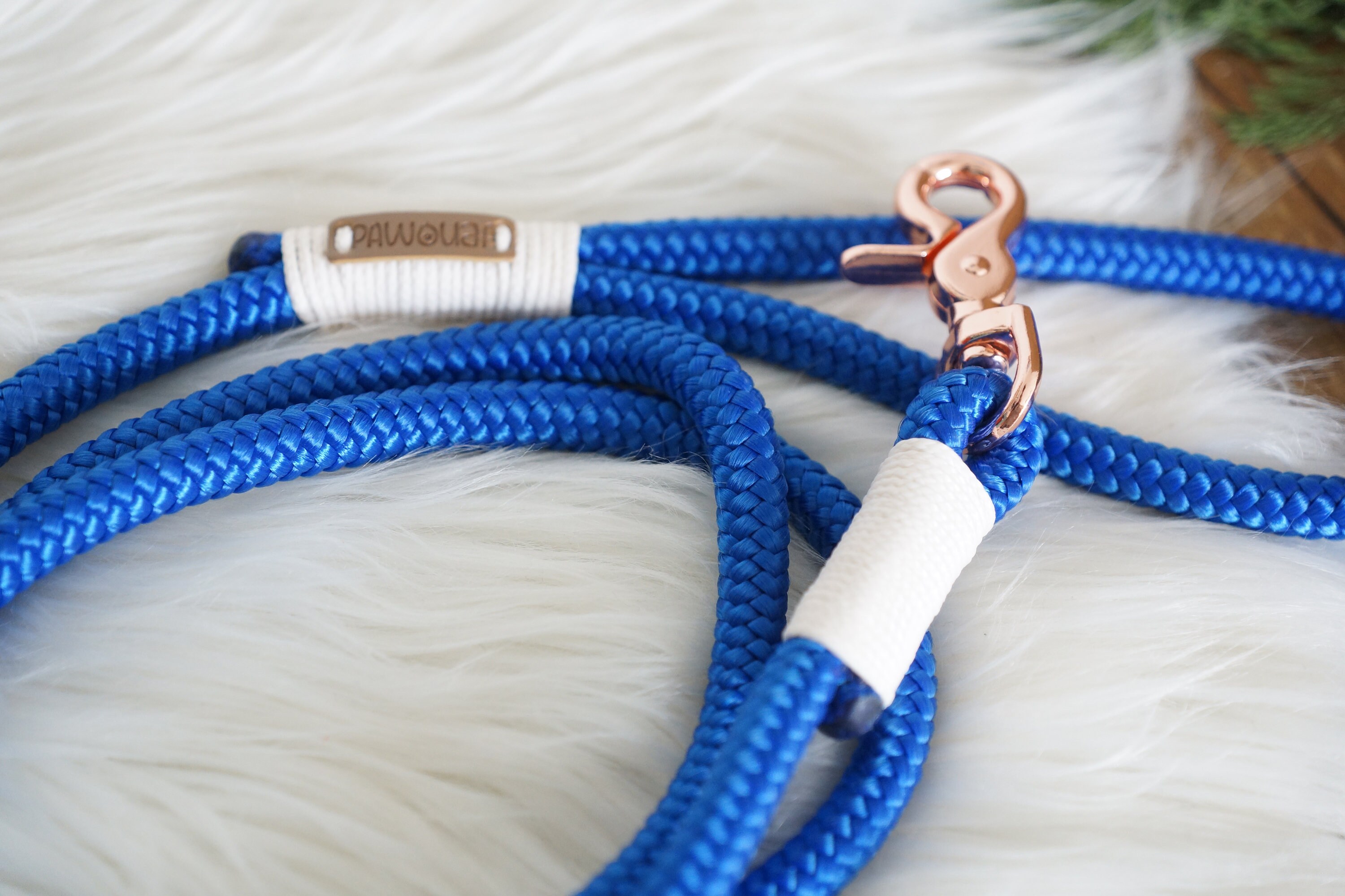 Laisse Pour Chien Bleu Électrique/Laisse en Corde Paracorde Dog Leash Accessoires /Fournitures Chien