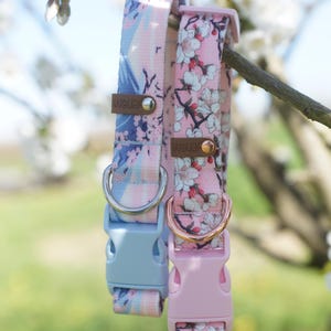 Dog collar adjustable Sakura / Cherry blossoms / Moutains / Japan