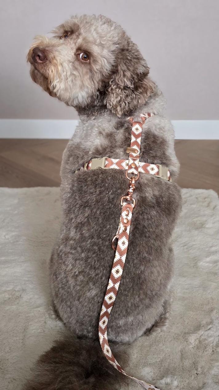 HILASON Heavy Duty Genuine Leather Dog Harness Padded Dark Brown Small