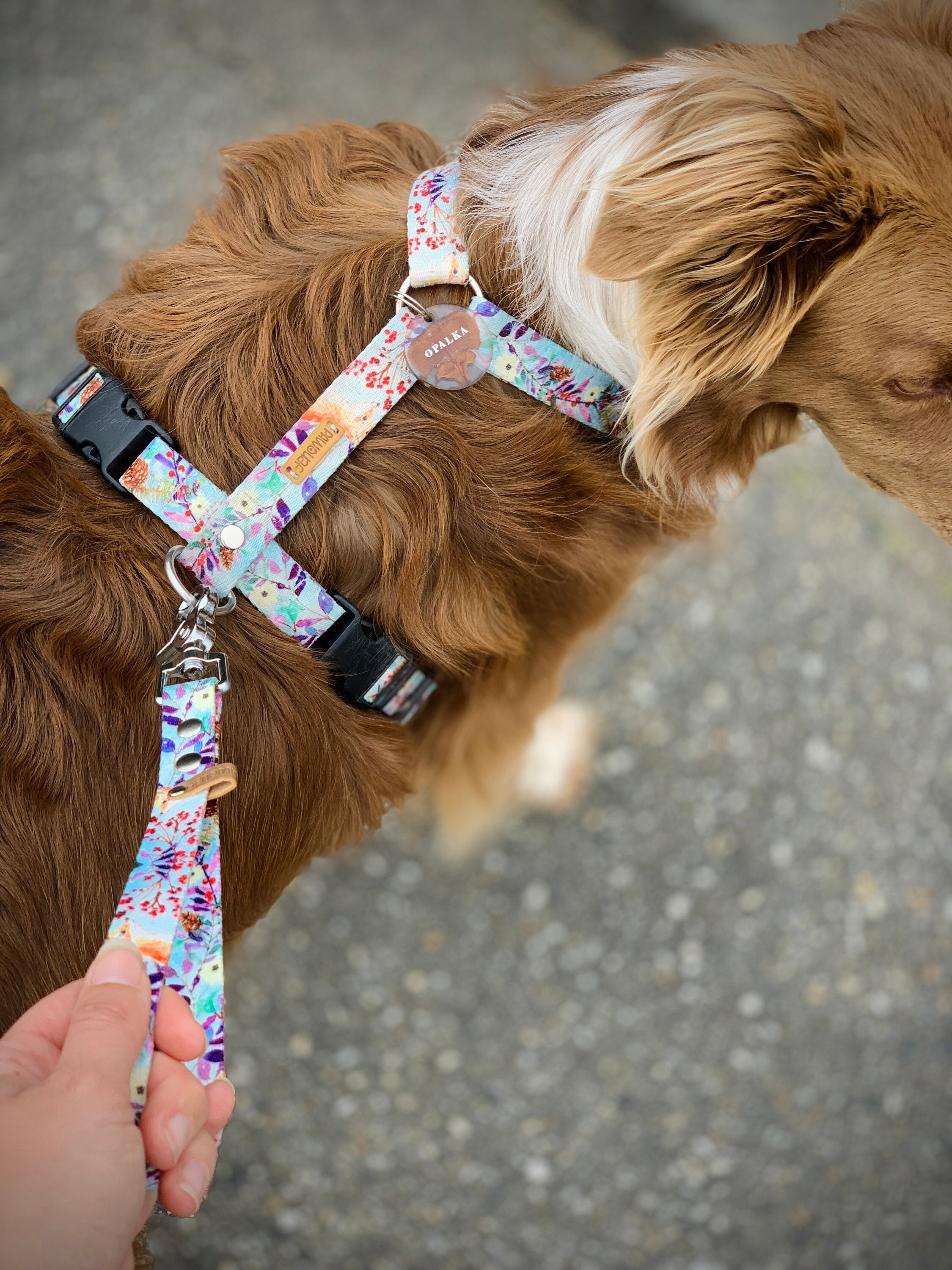 Dog leash handle sales