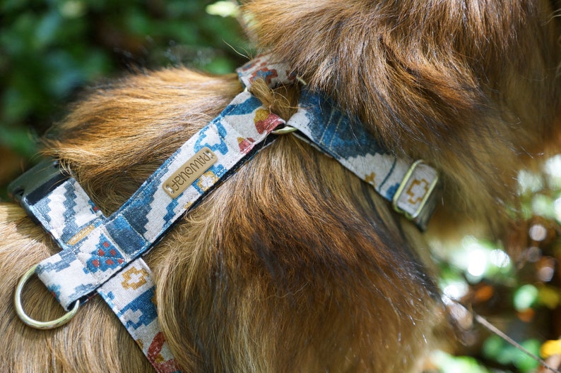 Harnais réglable pour chien Aztèque / Harnais H ou norvégien / | Etsy