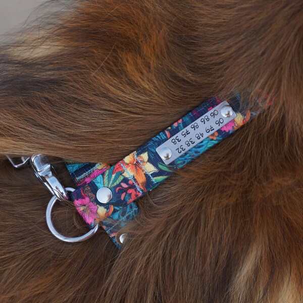 Dog Harness With Identification Etsy