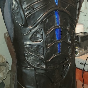 Tuta universale Nightwing