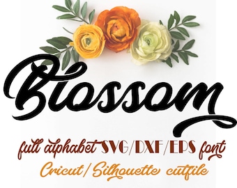 Fonts Font svg font Cricut Silhouette Digital Full Alphabet SVG DXF EPS Font swirly swashes Instant Download Script clean cutting digital