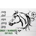 Horse cut file, horse svg horses svg/jpg/dxf/png/eps Horse silhouette outline, Silhouette cameo, Horse tattoo cut, horses cut file,horse svg