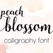 Calligraphy Font Digital Download Handwritten font download modern calligraphy font script invitations, cards, birthday cards font