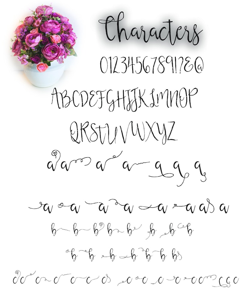 Calligraphy Swirly Font Script Font Digital Download Swash - Etsy