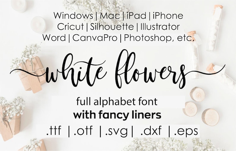 White flowers digital swirly font with tails, download designer calligraphy font, svg font Procreate font image 4
