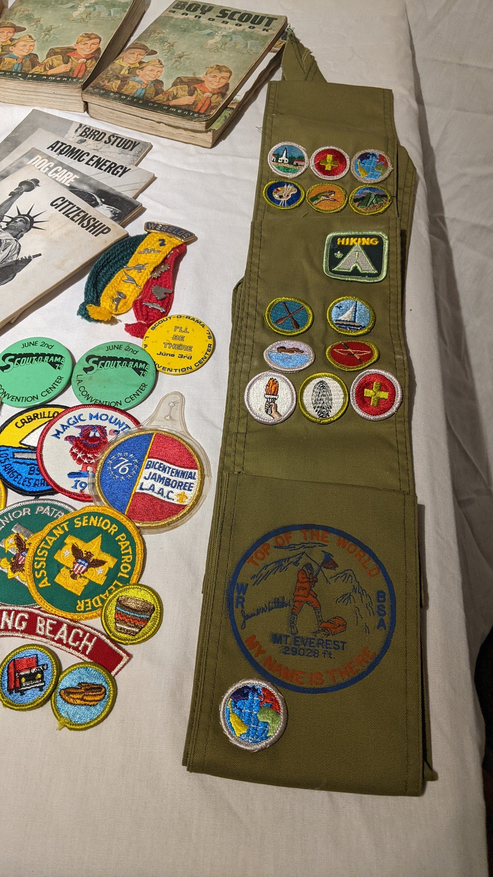 Boy Scouts Wood Badge Pins, 2 Pins [2478]