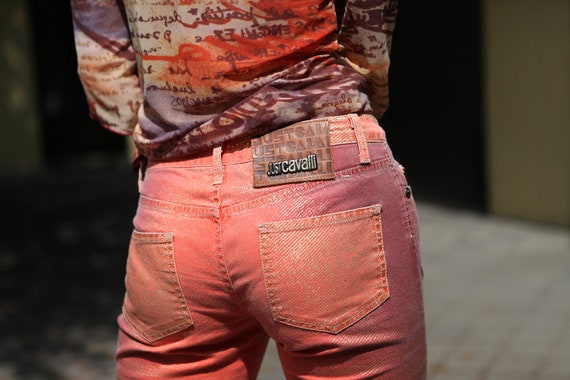 Vintage Y2K Just Cavalli Rave Low Rise Waist Jeans