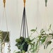 see more listings in the Plant Hangers section