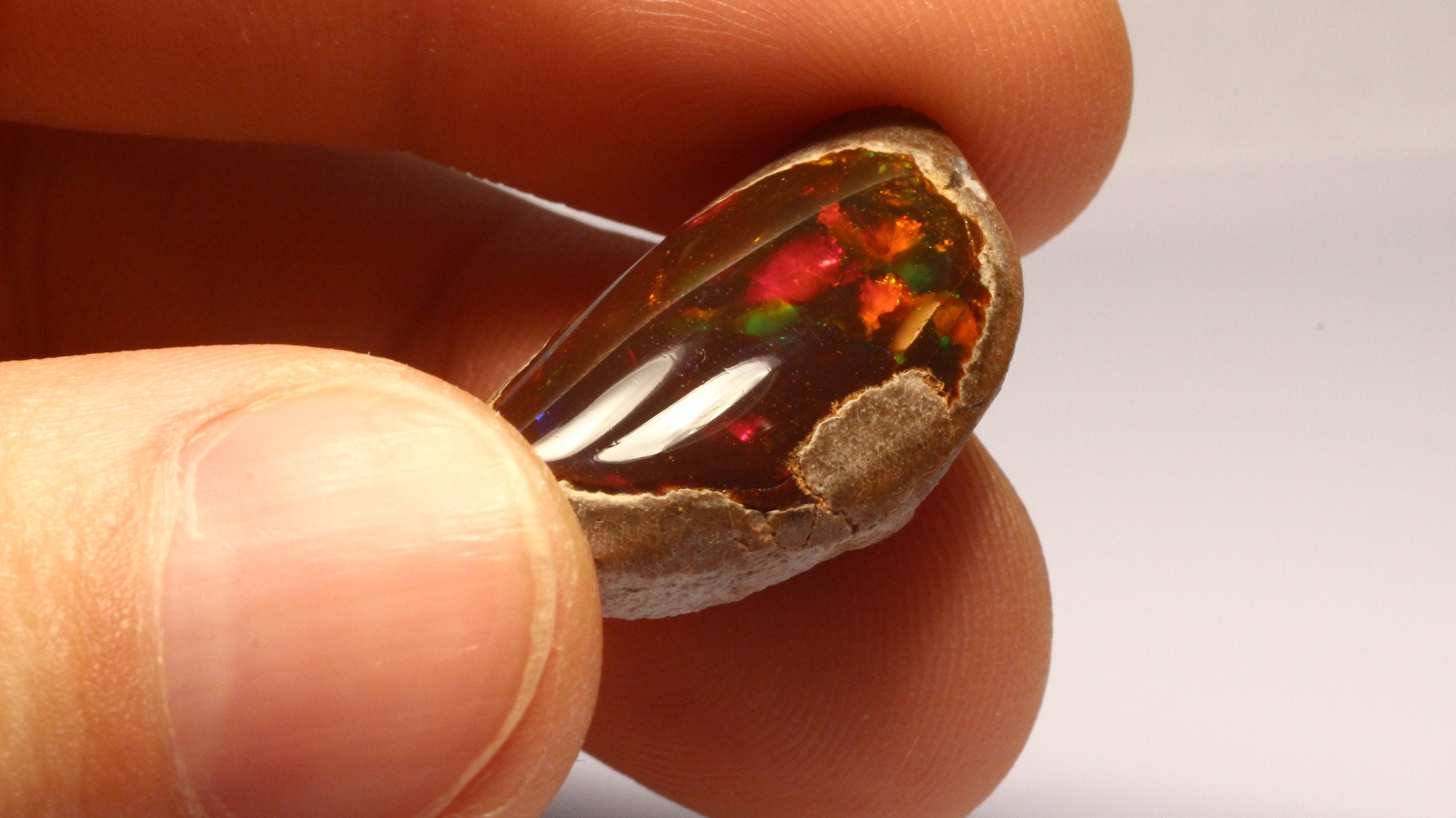 Chocolate opal shop price