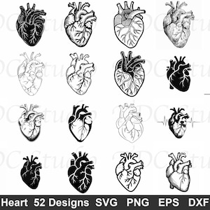 Può includere: Una collezione di ventiquattro illustrazioni di cuori anatomici in bianco e nero disposte in una griglia. I disegni presentano vari spessori di linea, stili di ombreggiatura e sagome. Il testo in basso recita Heart 52 Designs SVG PNG EPS DXF.