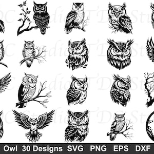 Può includere: Una collezione di venti illustrazioni digitali in bianco e nero con vari disegni di gufi, inclusi gufi appollaiati su rami, in volo con le ali spiegate e ritratti di volti di gufi, con il testo Owl 30 Designs SVG PNG EPS DXF.