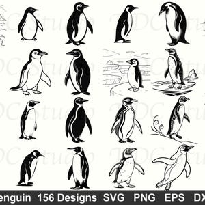 May include: A collection of black and white penguin illustrations in various poses. The image includes penguins standing, walking, and swimming. The text at the bottom reads "Penguin 156 Designs SVG PNG EPS DXF".