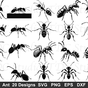May include: A collection of twenty black and white ant silhouettes and detailed illustrations in various poses, including side profiles and top-down views. The text at the bottom reads Ant 20 Designs SVG PNG EPS DXF.