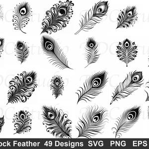 May include: A collection of 49 black and white peacock feather designs. The feathers vary in size and style, with intricate details and patterns. The image includes the text "Peacock Feather 49 Designs SVG PNG EPS DXF".