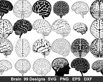 SVG-Bundle zur Gehirnanatomie | 99 medizinische Neurowissenschafts-Designs (Schnittdateien)