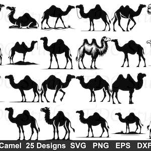 May include: A collection of twenty-five black and white camel silhouettes and illustrations in various poses, including standing, walking, and resting. The text at the bottom reads Camel 25 Designs SVG PNG EPS DXF, indicating the file formats available.
