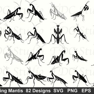 May include: A collection of 20 black and white praying mantis illustrations in various poses. The image includes the text "Praying Mantis 82 Designs SVG PNG EPS DXF".