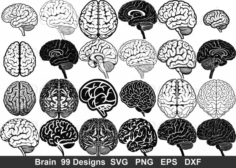 Brain Pattern Dxf Brain Anatomy SVG Bundle | 99 Medical Neuroscience Designs (cut Files ...