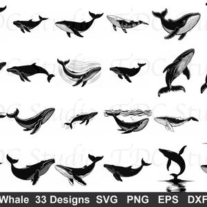 以下が含まれることがあります： 白黒のクジラのデザイン33点のコレクション。水泳、ジャンプ、水中シーンなど、さまざまなポーズのクジラが描かれています。画像には「Whale 33 Designs SVG PNG EPS DXF」というテキストが含まれています。