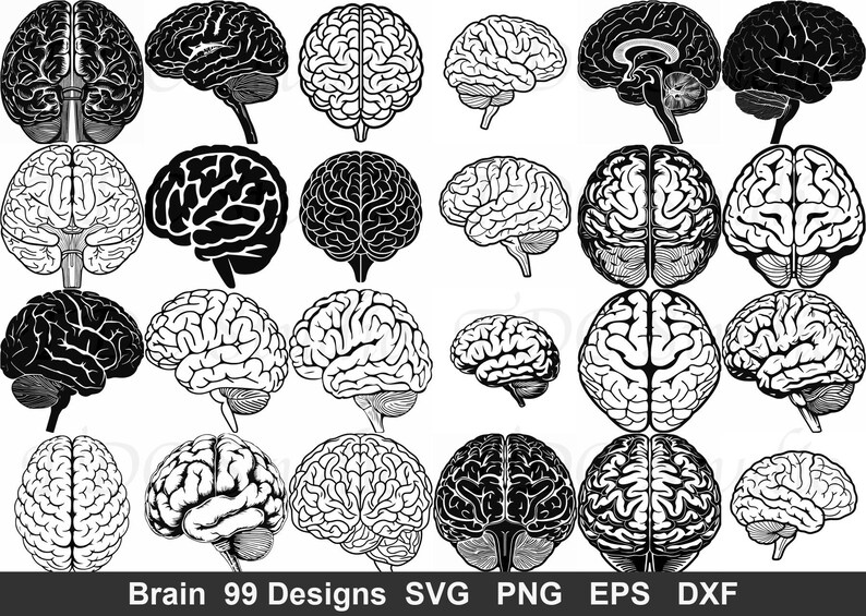 Brain Pattern Dxf Brain Anatomy SVG Bundle | 99 Medical Neuroscience Designs (cut Files ...
