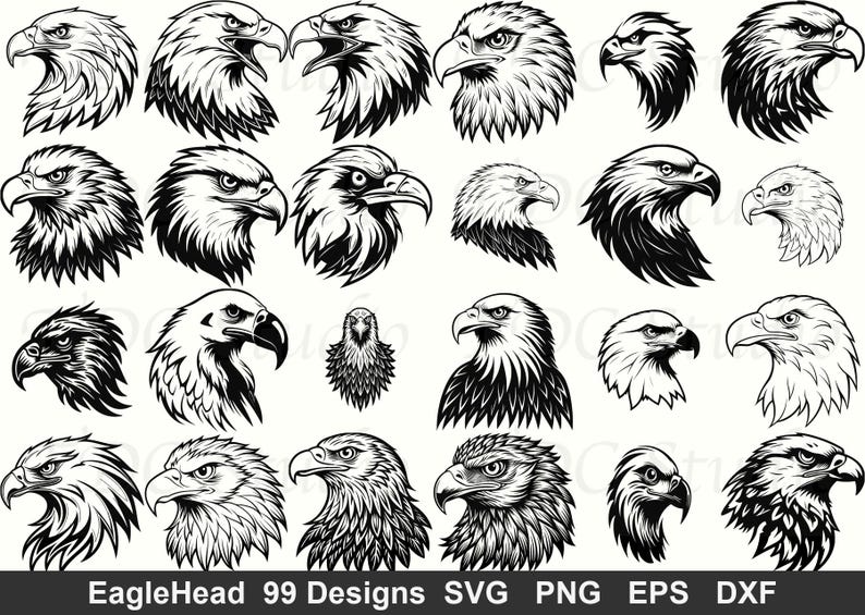 Beak Designs Eagle Head SVG Bundle (99 Designs) Bald Eagle PNG, American Flag ...