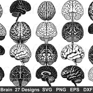 May include: A collection of twenty-seven black and white digital illustrations of human brains, featuring various anatomical views including lateral, superior, and cross-sectional perspectives, displayed in a grid format with the text Brain 27 Designs.