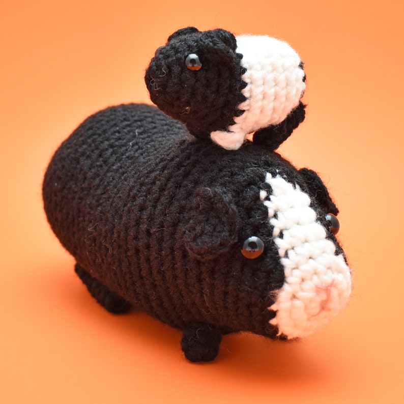 Guinea Pig Amigurumi image 6