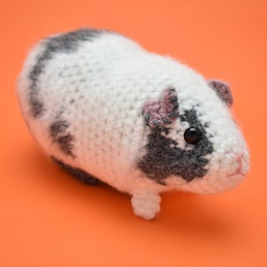 Guinea Pig Amigurumi image 5