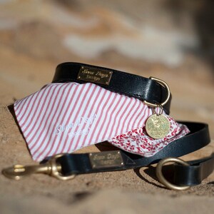 Dog Scarf &#39;Randig&#39;