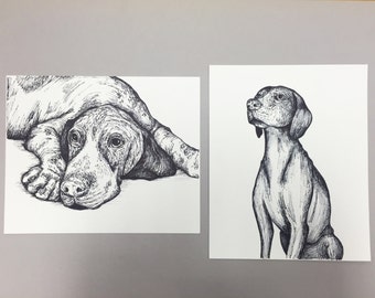 Retrato de mascota con pluma y tinta: ¡dibuja a partir de una foto! Convierte una de tus fotos en una obra de arte personalizada.