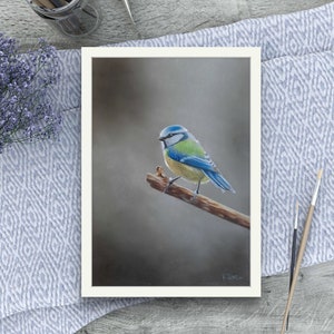 Carte de voeux mésange bleue dessin réaliste tirage d'art